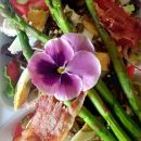 3720efb5 aa69 4e61 b3fdb751e7aba8